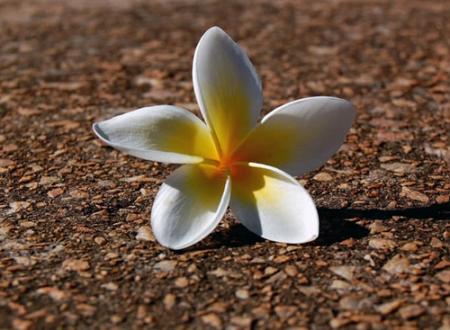 符號情侶好看名字帶游戲網(wǎng)名_好聽帶符號的情侶游戲名字_好看的游戲情侶名字帶符號