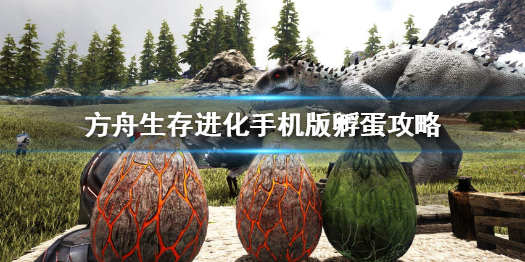 《方舟生存進(jìn)化》手機版怎么孵蛋 手機版孵