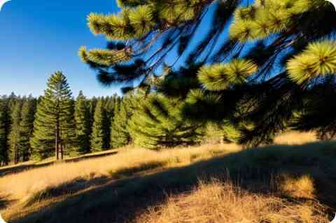 開始鍵玩電腦游戲沒反應(yīng)_開始鍵玩電腦游戲卡頓_電腦開始鍵怎么玩游戲